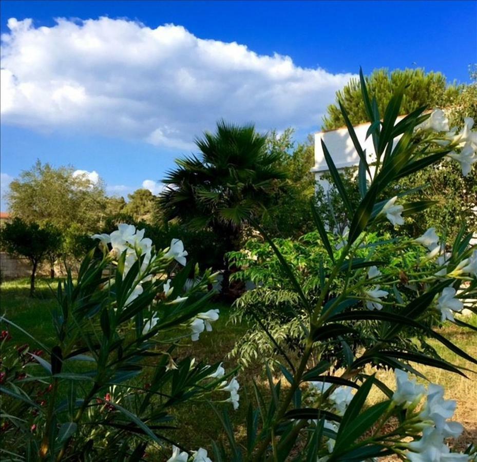 Oasi Del Plemmirio Syracuse